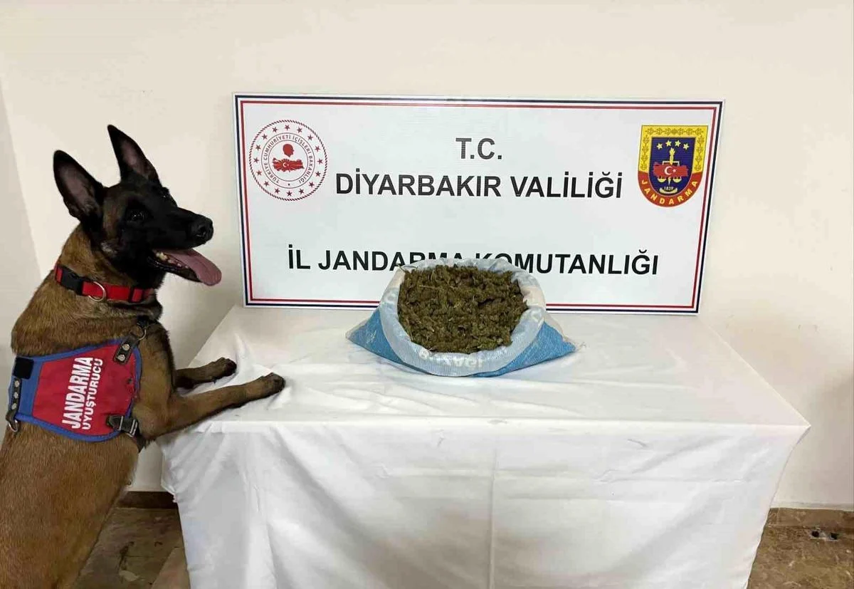 Diyarbakır'da Narkotik Operasyon: 23 Kilogram Esrar Ele Geçirildi
